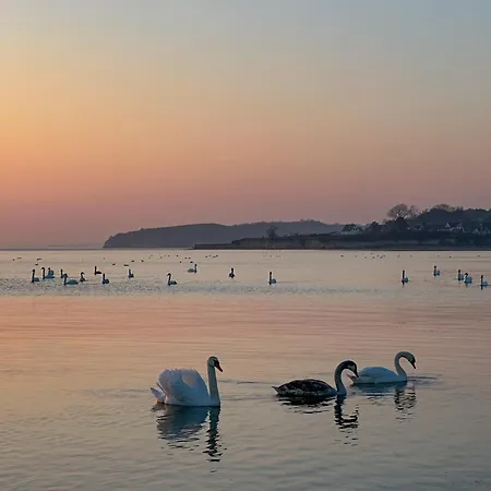 Lägenhet Westwind 2