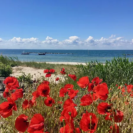 Lägenhet Westwind 2 *